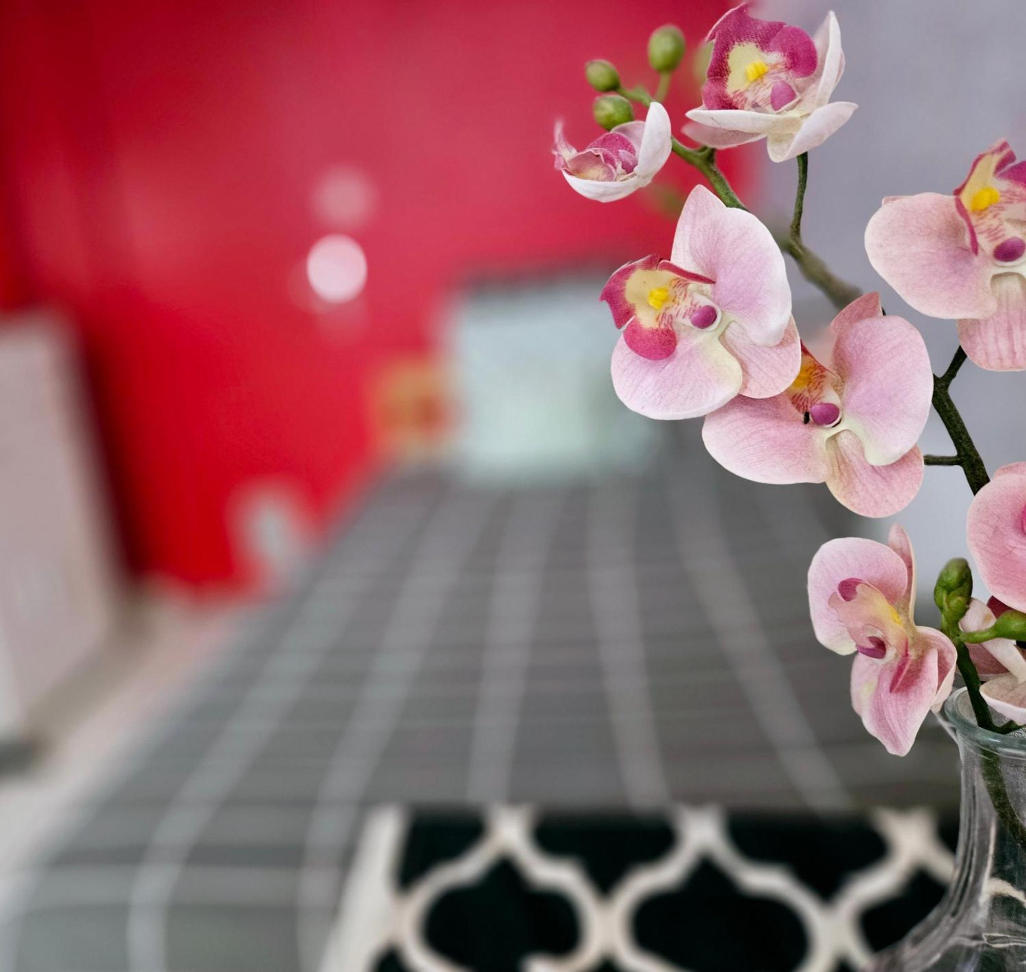Apartamento Le Canut Duviard - Proche Metro Croix-rousse Lyon